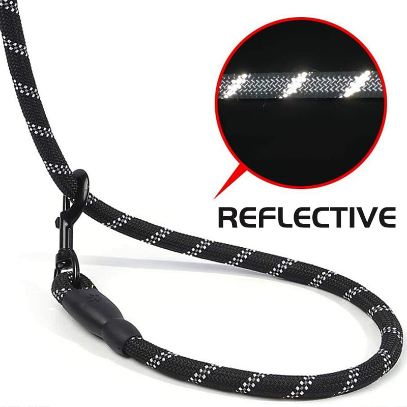 Dog Long Reflective Leash