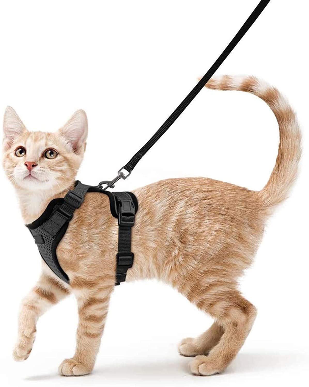 Soft Mesh Small Cat Harness