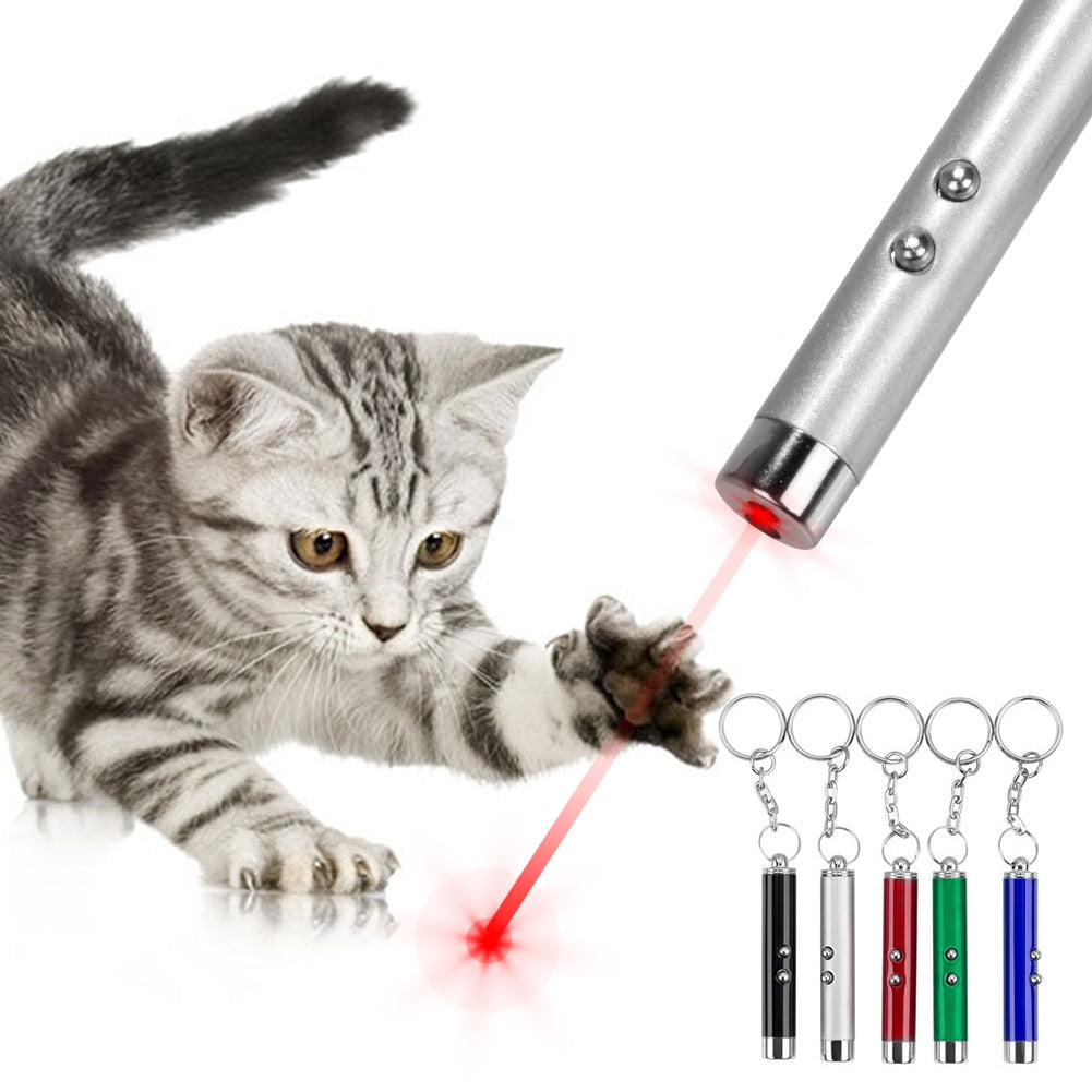 LED Laser pointer