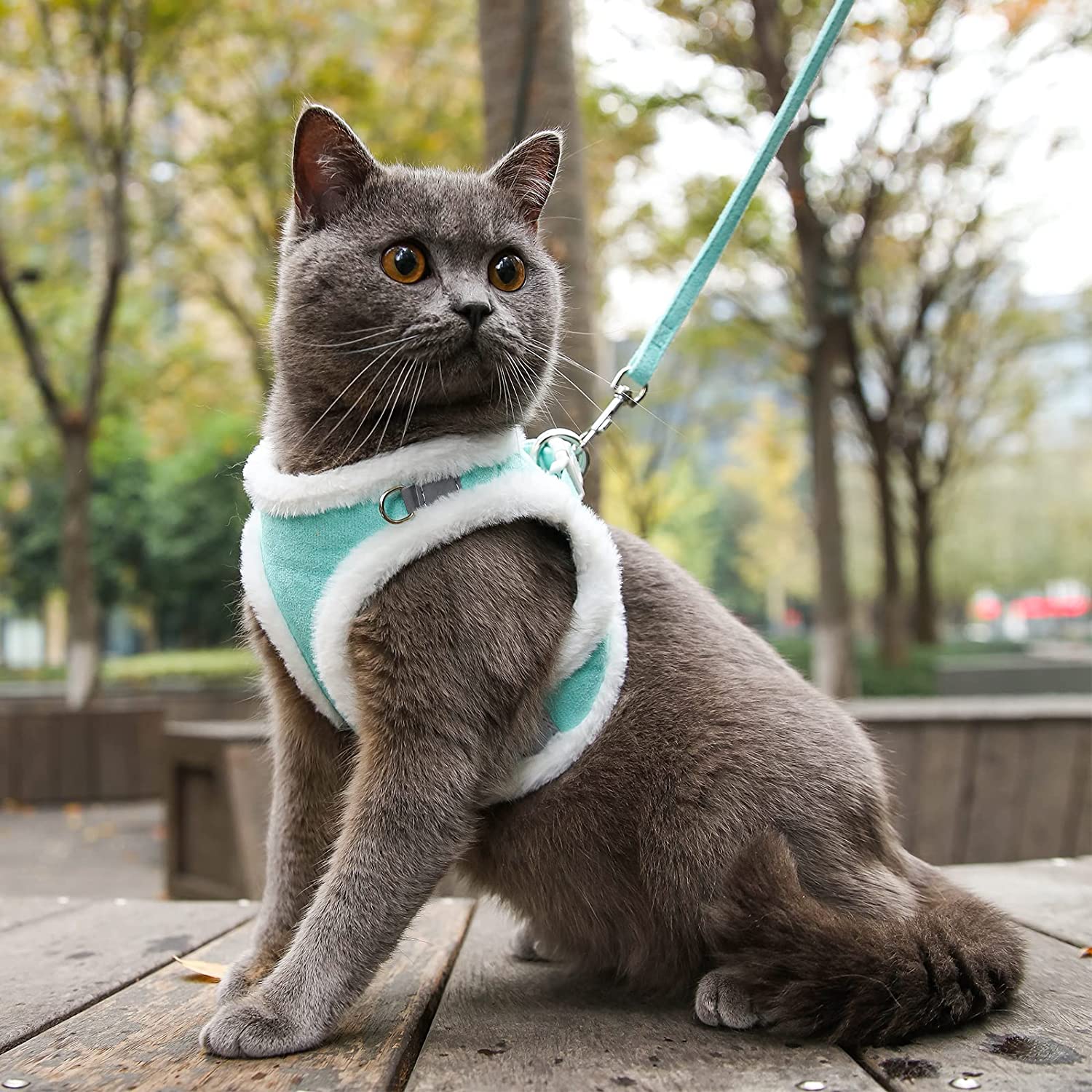 Soft Warm Reflective Cat Harness