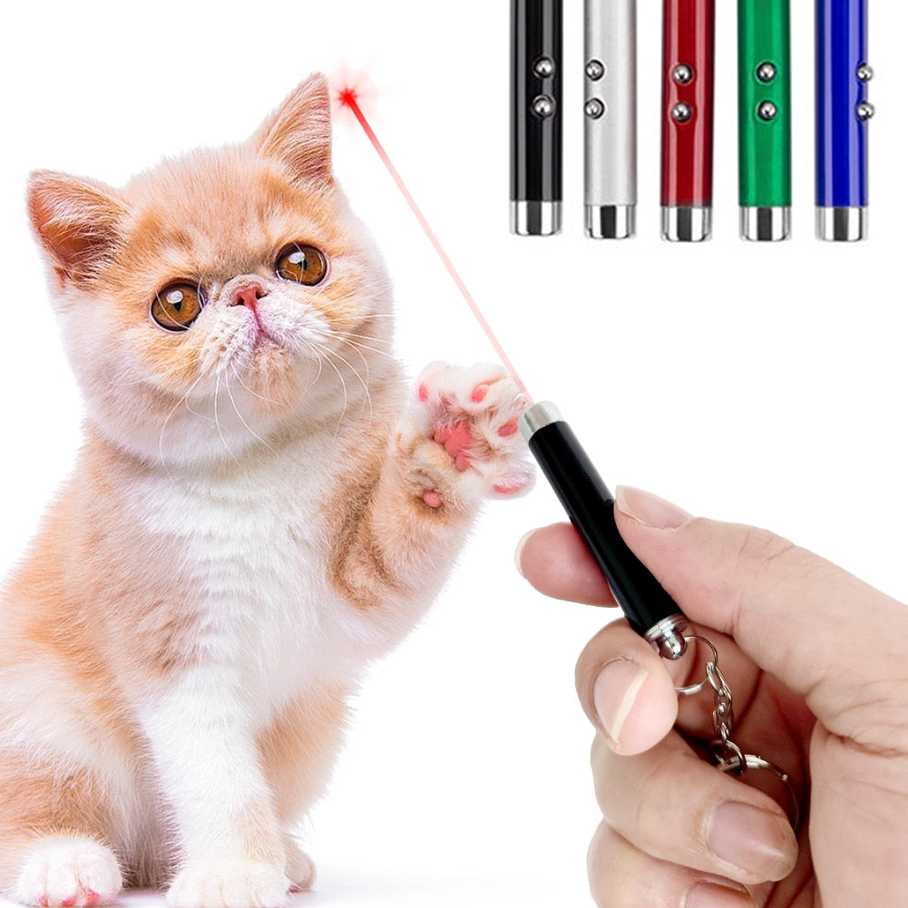 LED Laser pointer