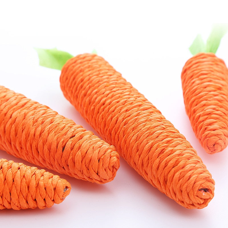 Carrot Pet Cat Toy