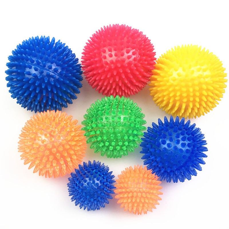 Squeaky Ball Dog Chewing Toys