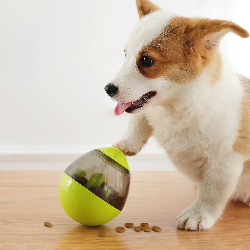 Dogs Increases IQ Treat Ball