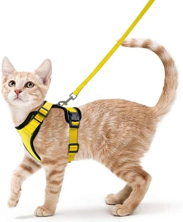 Reflective Cat Harness