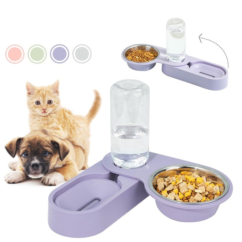 Dog Automatic Feeding Bowl