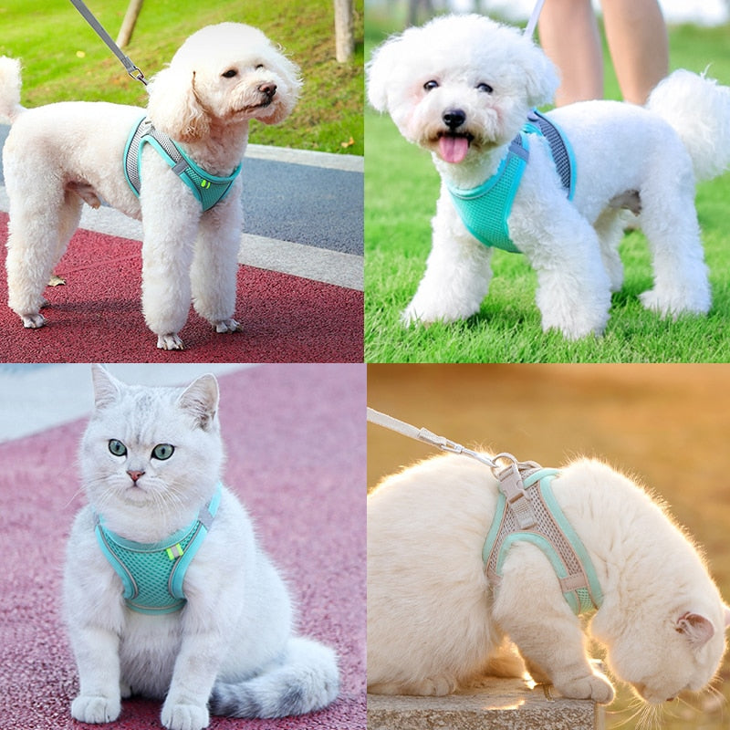 Adjustable Cat Harness Leash