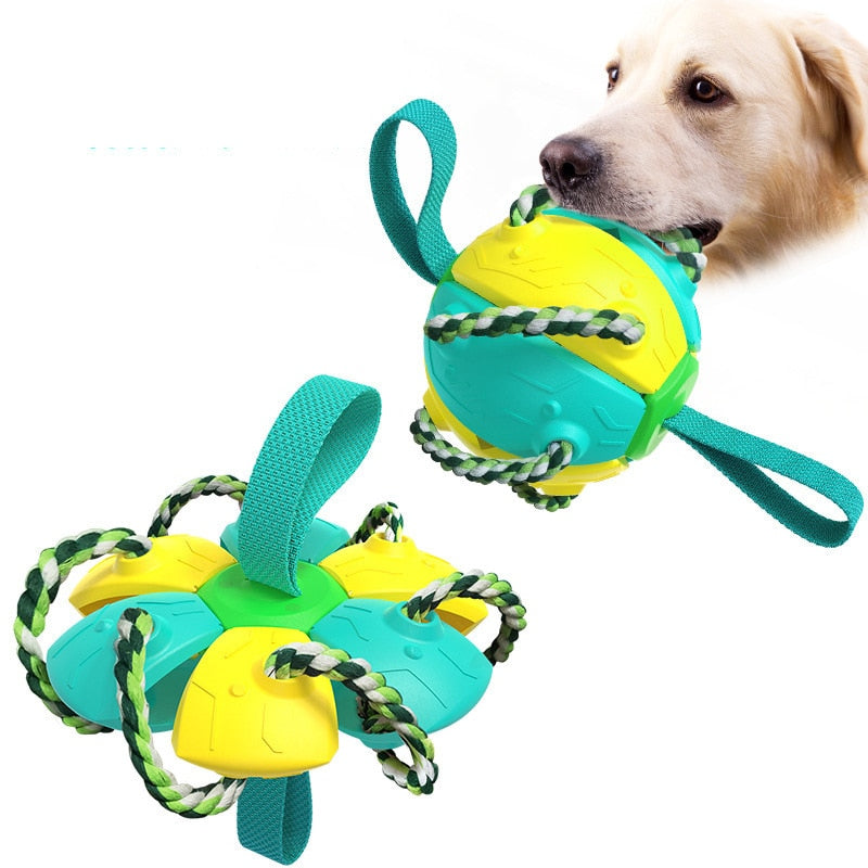 Dog UFO Feeder Toys