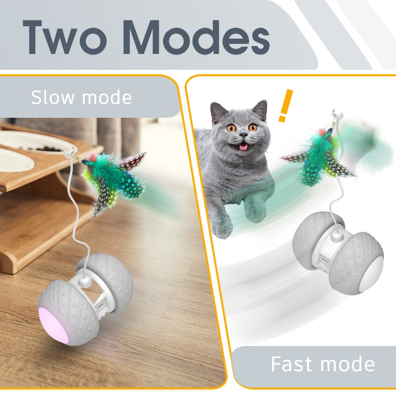 Electric Rolling Pet Toy