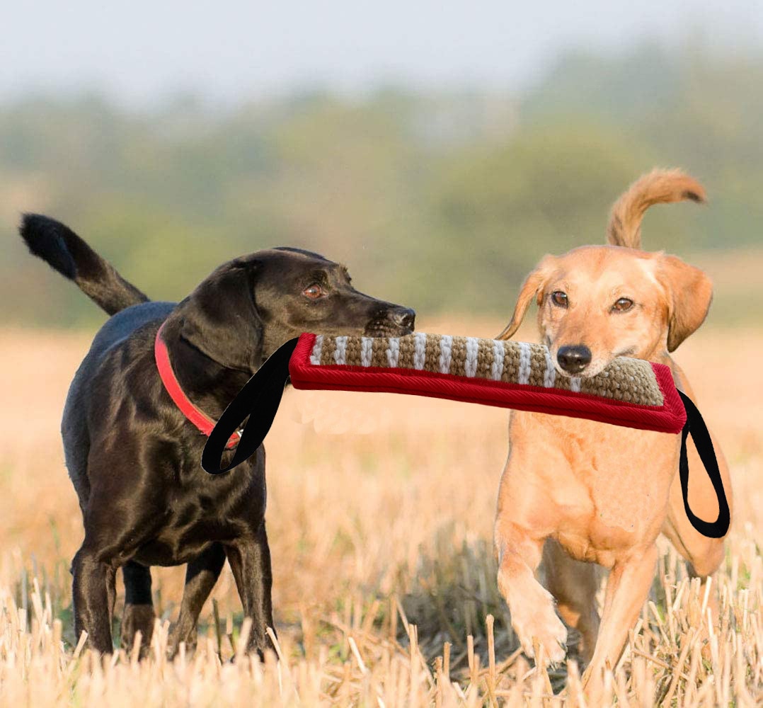 Durable Dog Training Tug Toy