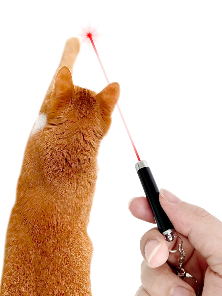 LED Laser pointer