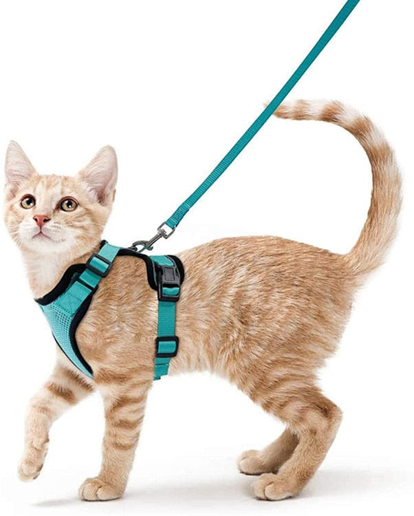 Reflective Cat Harness