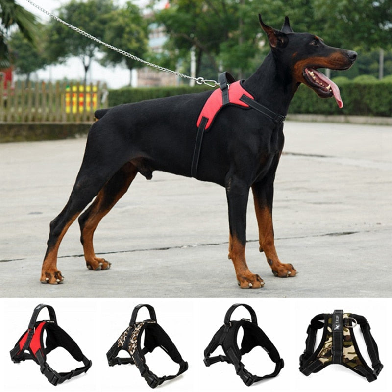 Dog Harness Collar