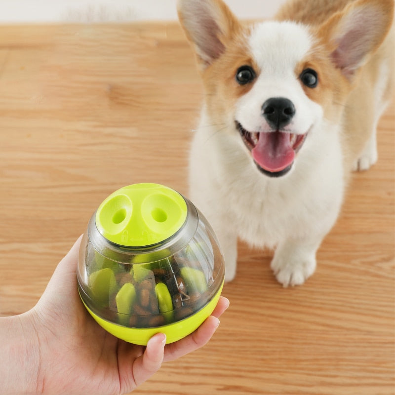 Dogs Increases IQ Treat Ball