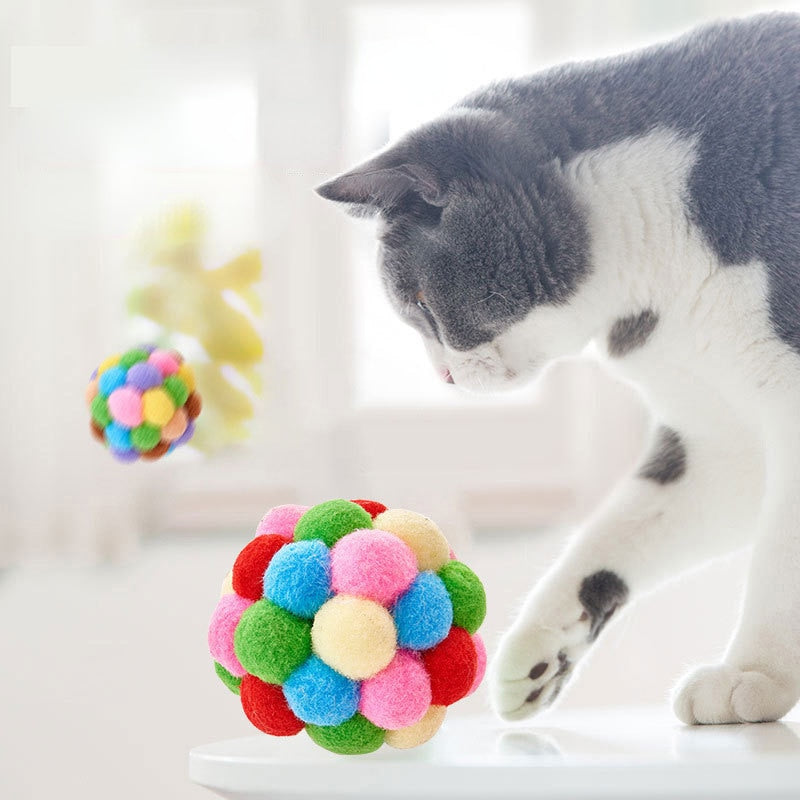 Cat Self-excited Ball