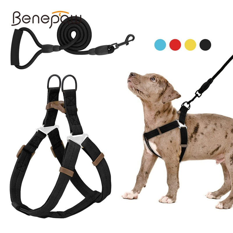 No Pull Dog Harness Leash