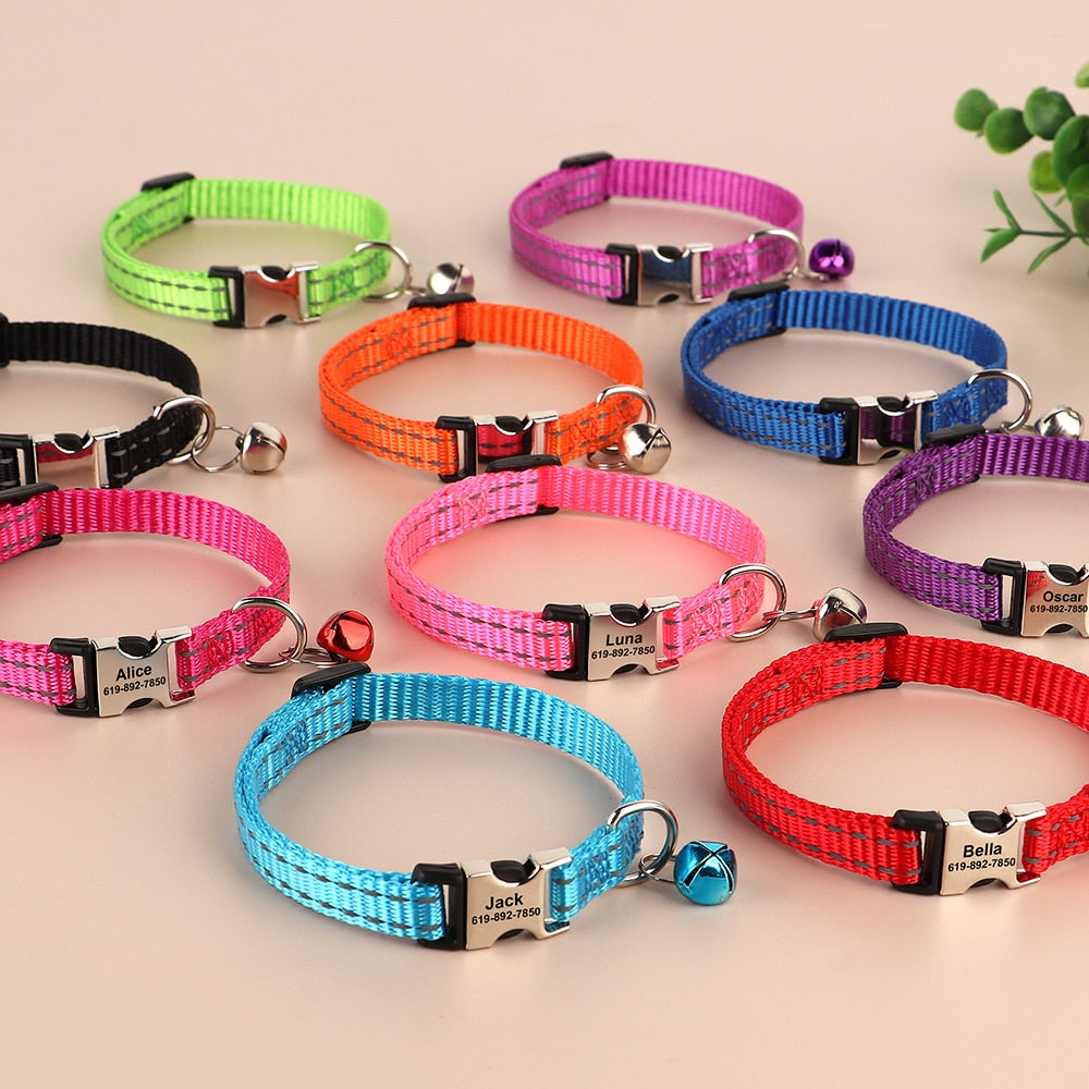 Personalized Cat Collar