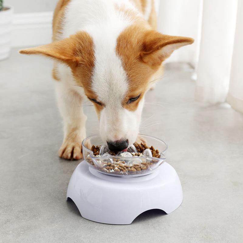 Pet Slow Eating Bowl