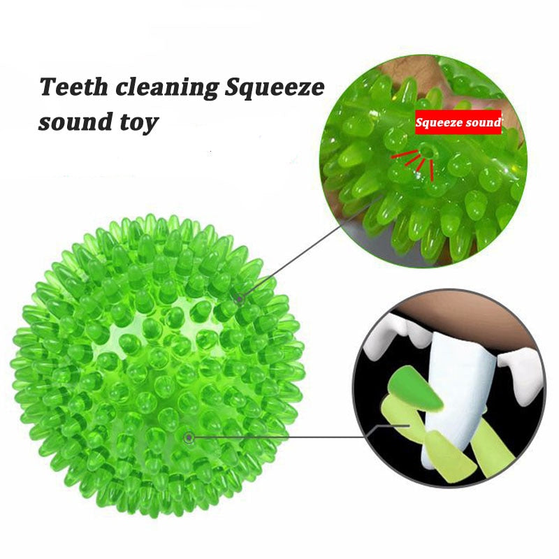 Squeaky Ball Dog Chewing Toys