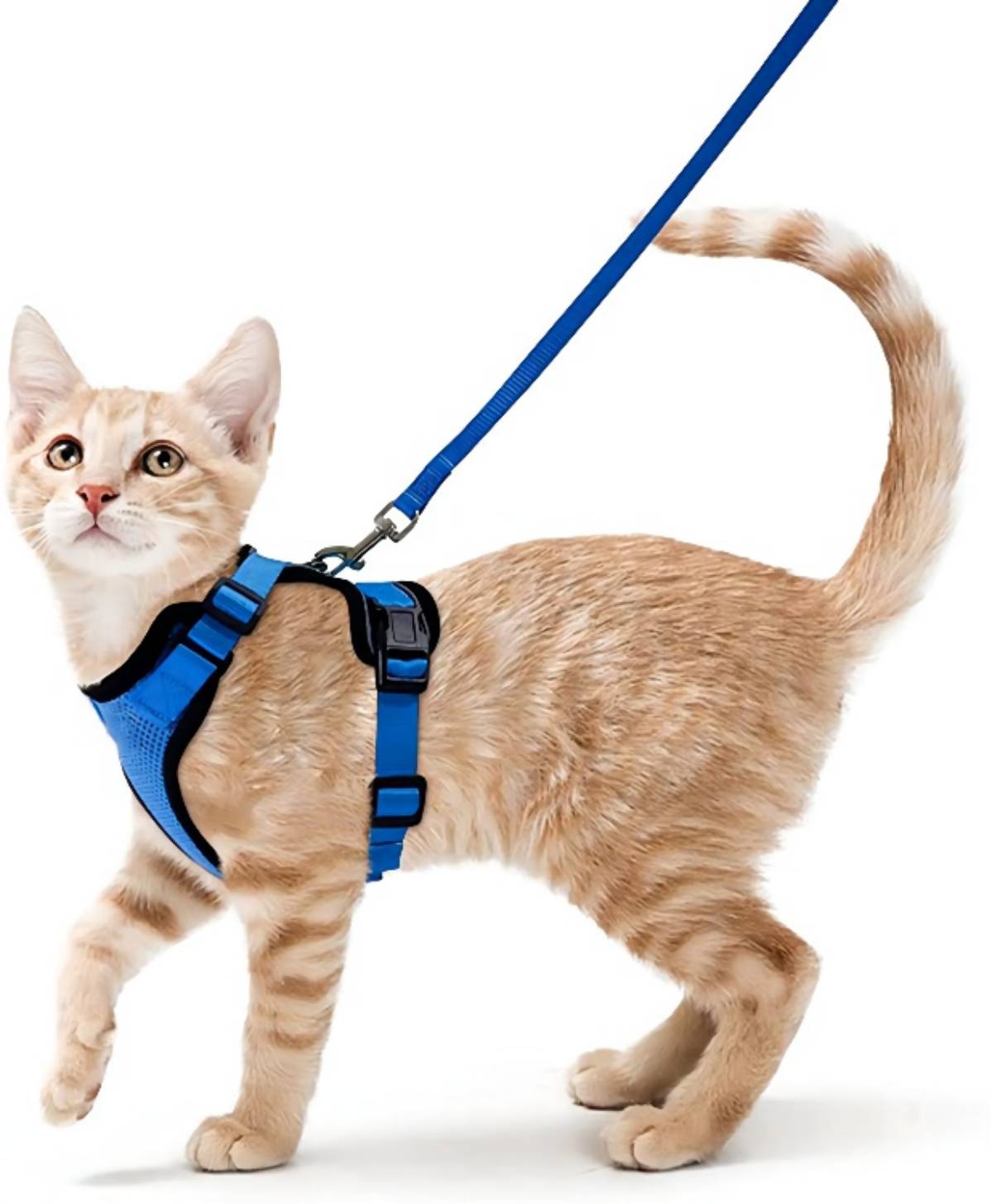 Soft Mesh Small Cat Harness