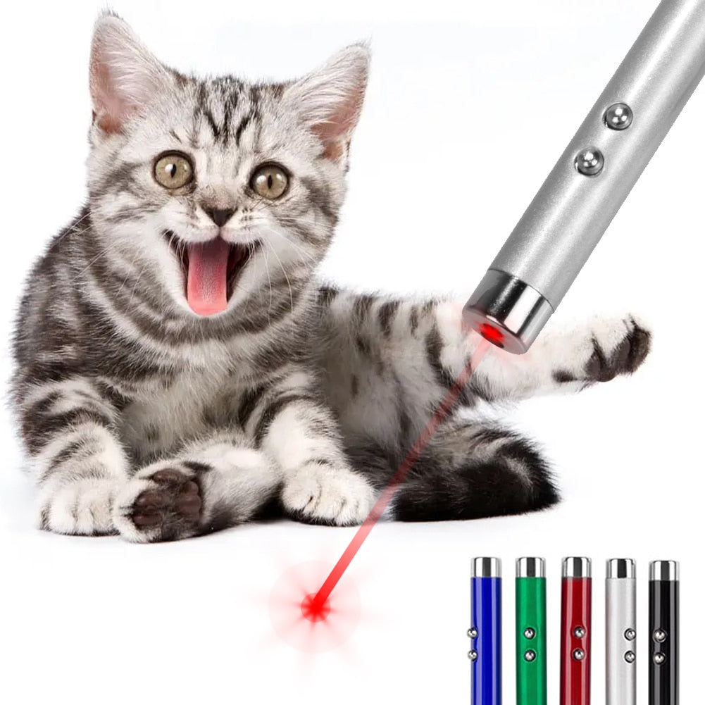 LED Laser pointer