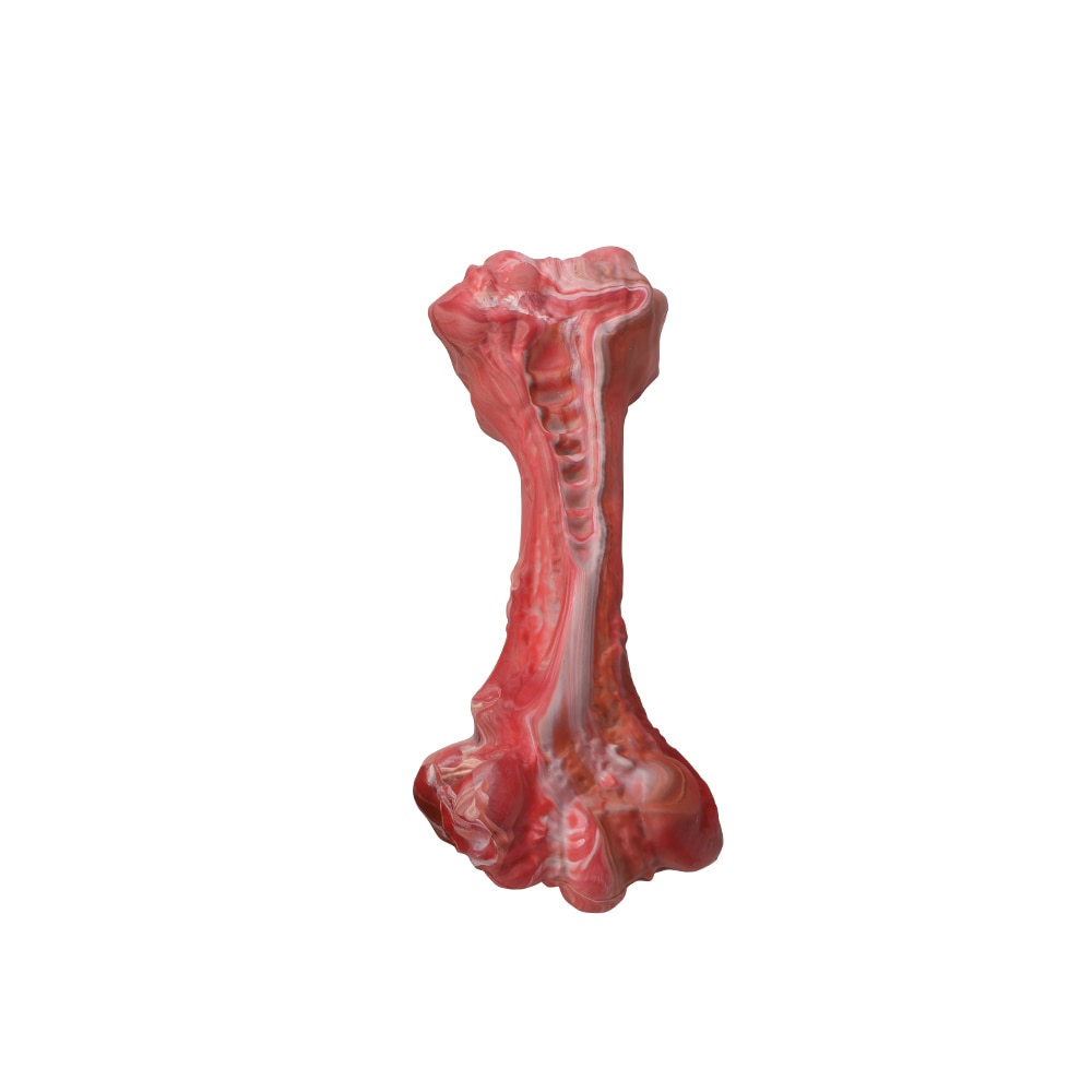 Dogs Bone-Shaped Chew Toys