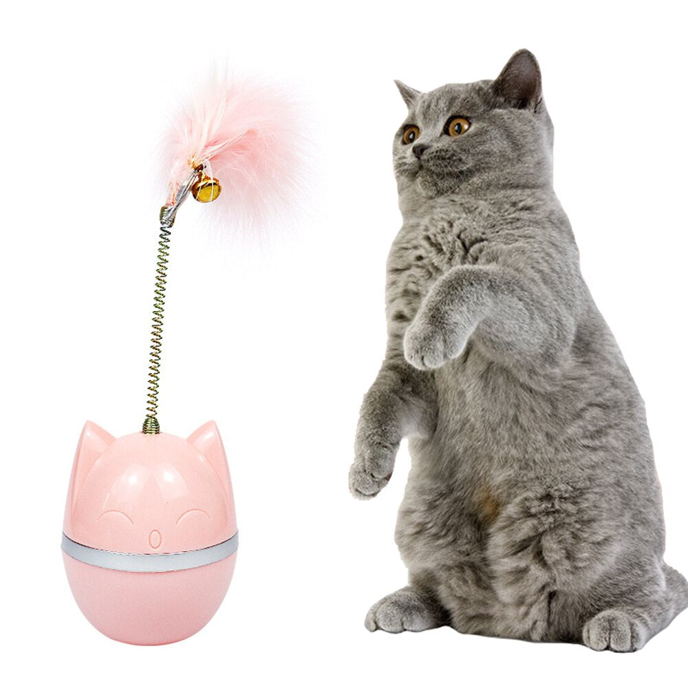 Kitten Interactive Chasing Toy