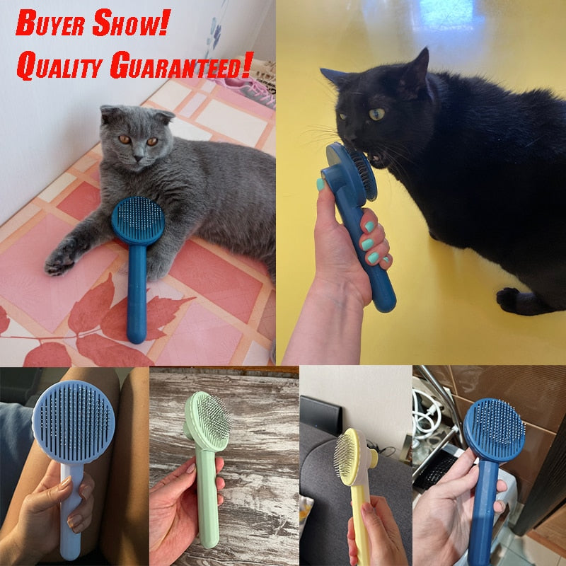 Cat Grooming Brush