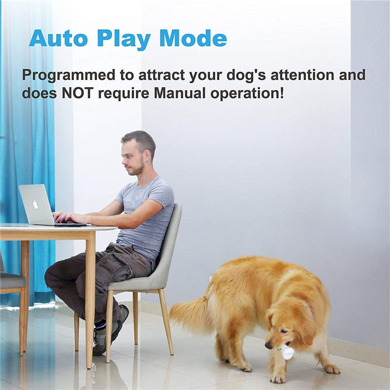 APP Control Moving Bone Dog Toys