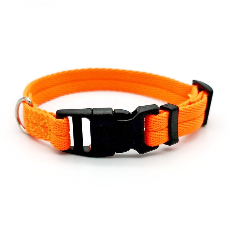 Quickly Disengaged Dog Training Collar