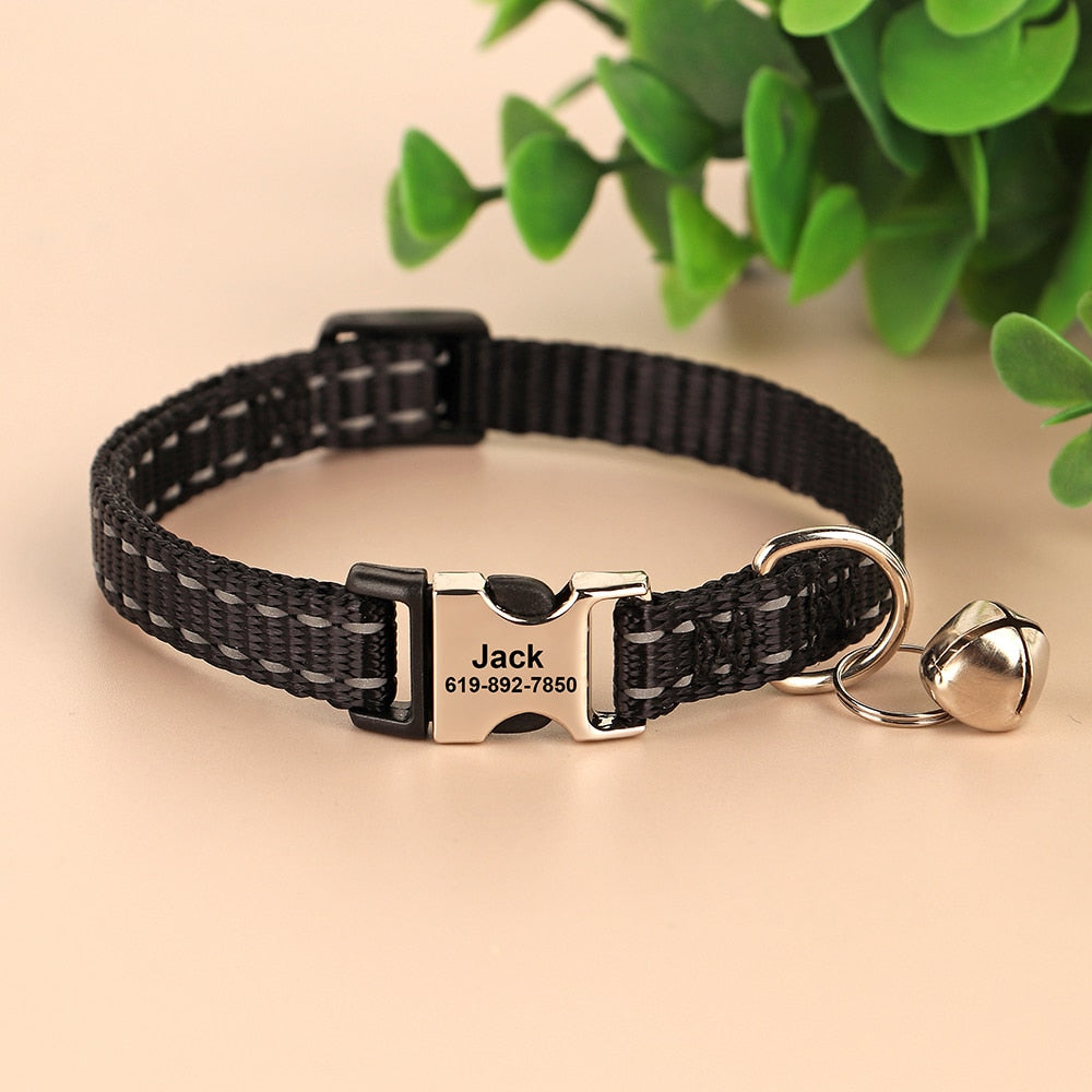 Personalized Cat Collar