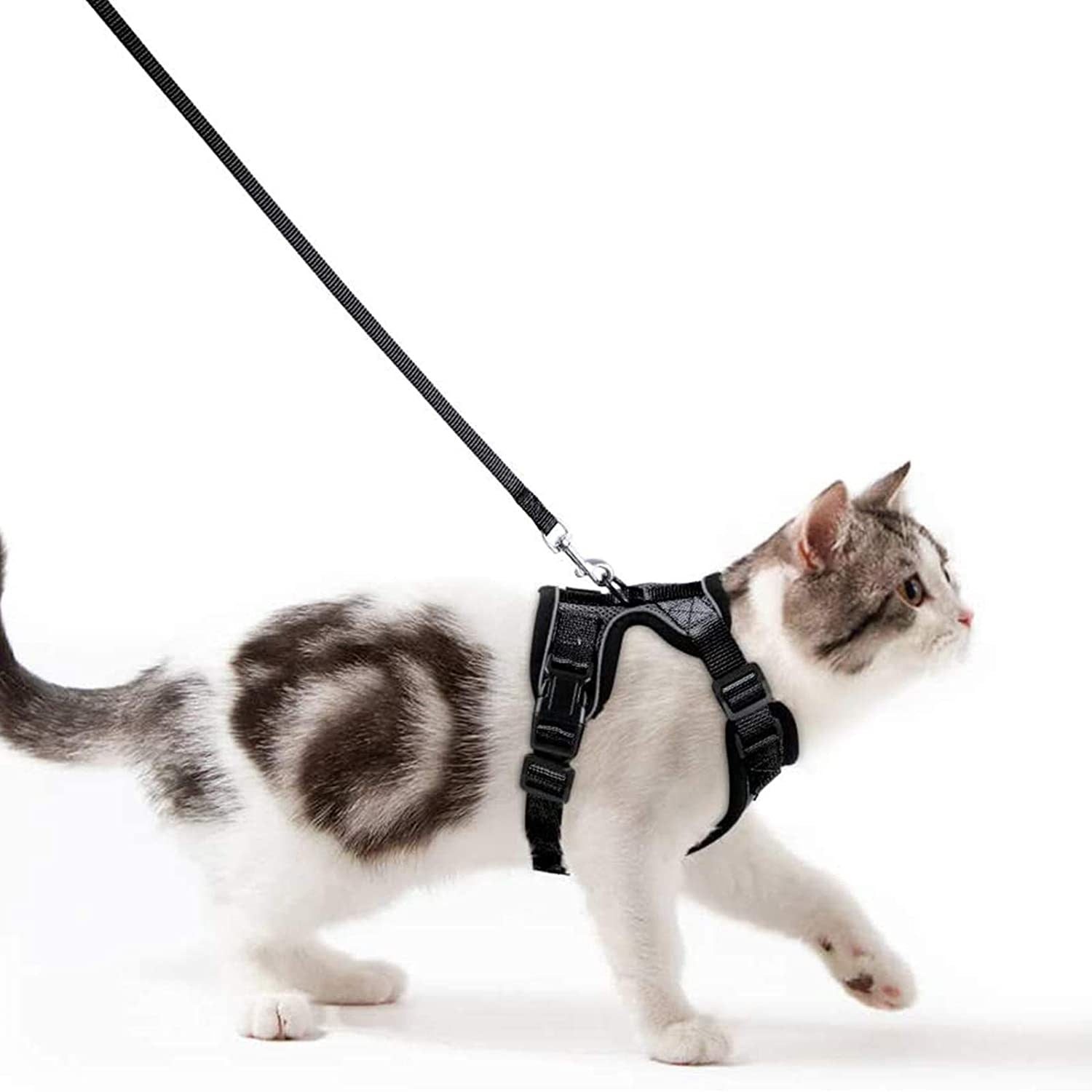 Reflective Cat Harness