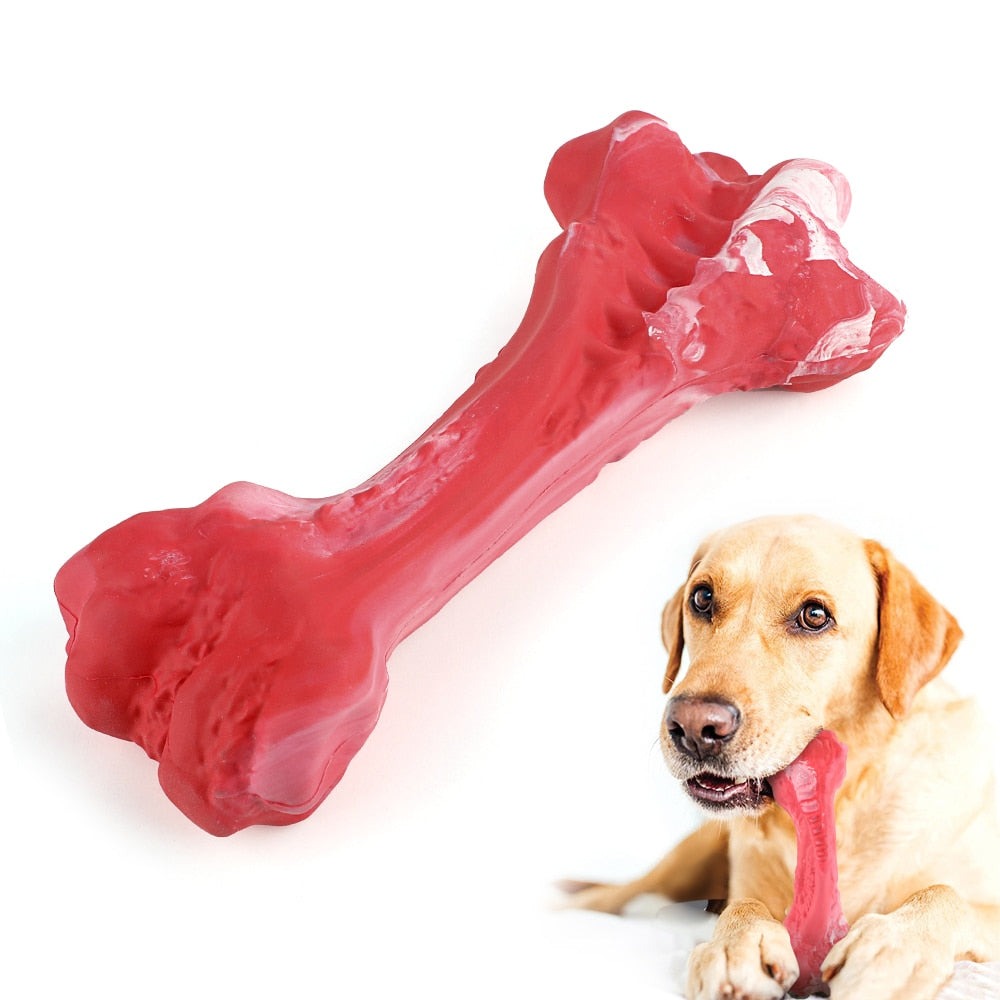 Dog Bone Chew Toy