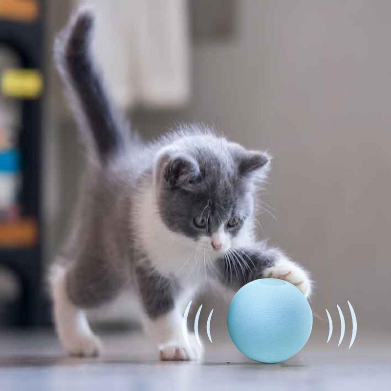 Interactive Roller Pet Toy