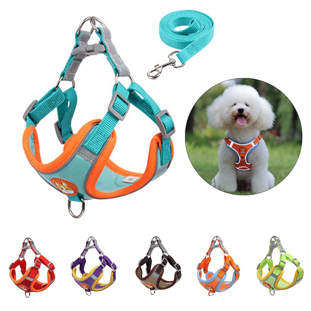 Pet Dog Harness and Leash Set