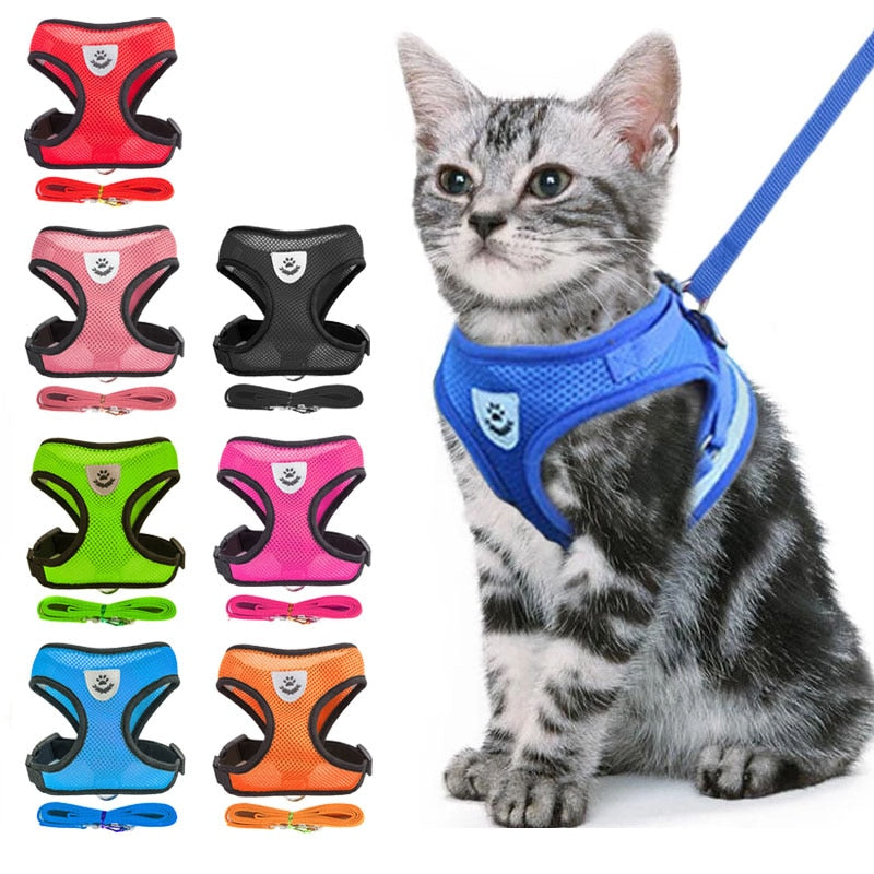 Anti-Escape Cat Harness