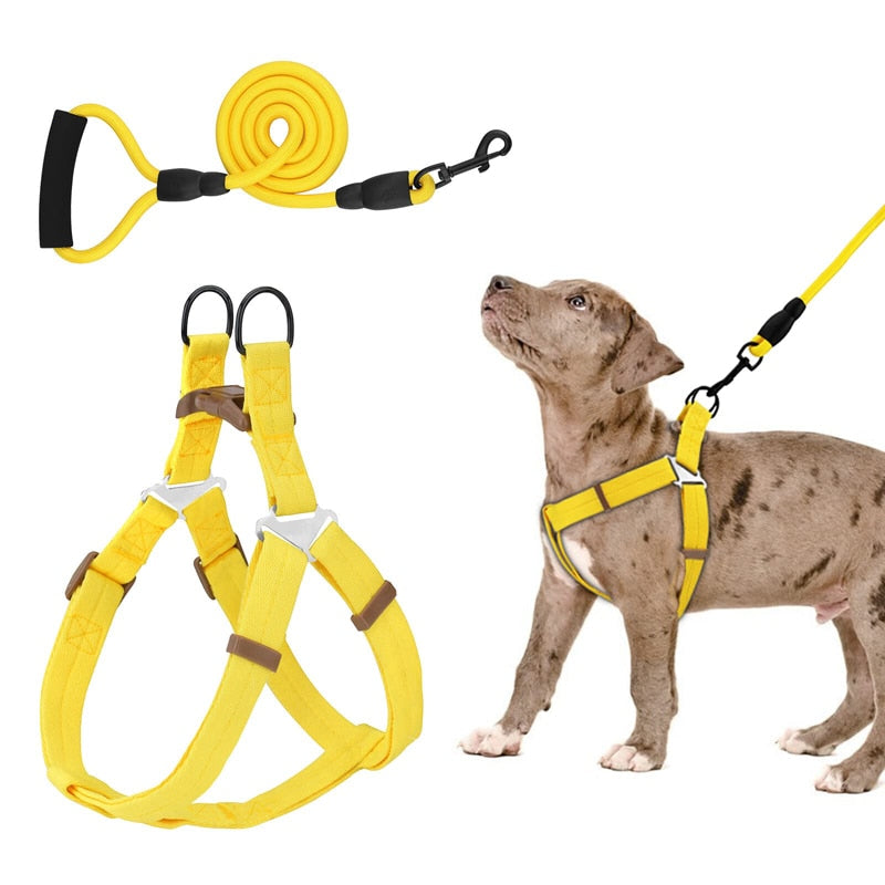 No Pull Dog Harness Leash