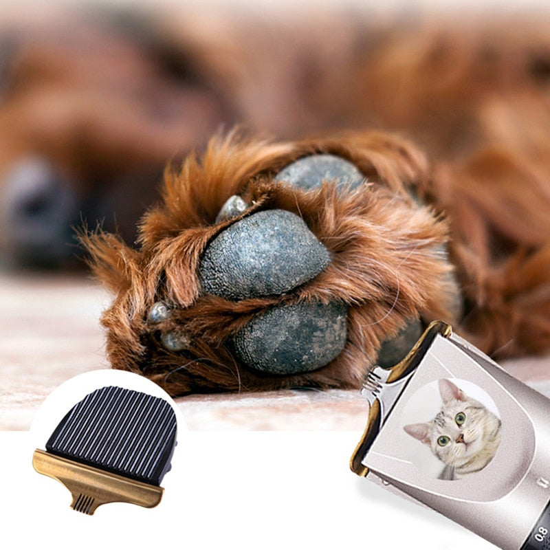 Electric Pet Clipper