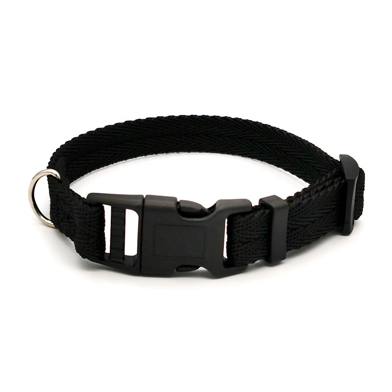 Quickly Disengaged Dog Training Collar