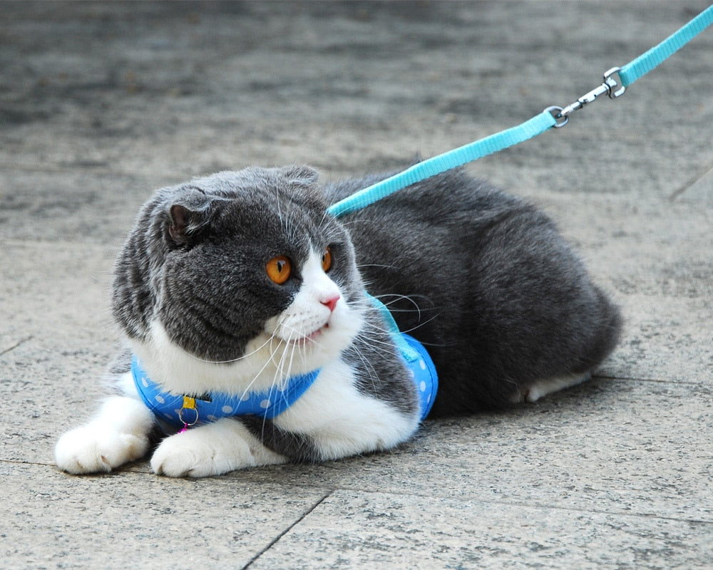 Cat Dot Print Cotton Harness Vest