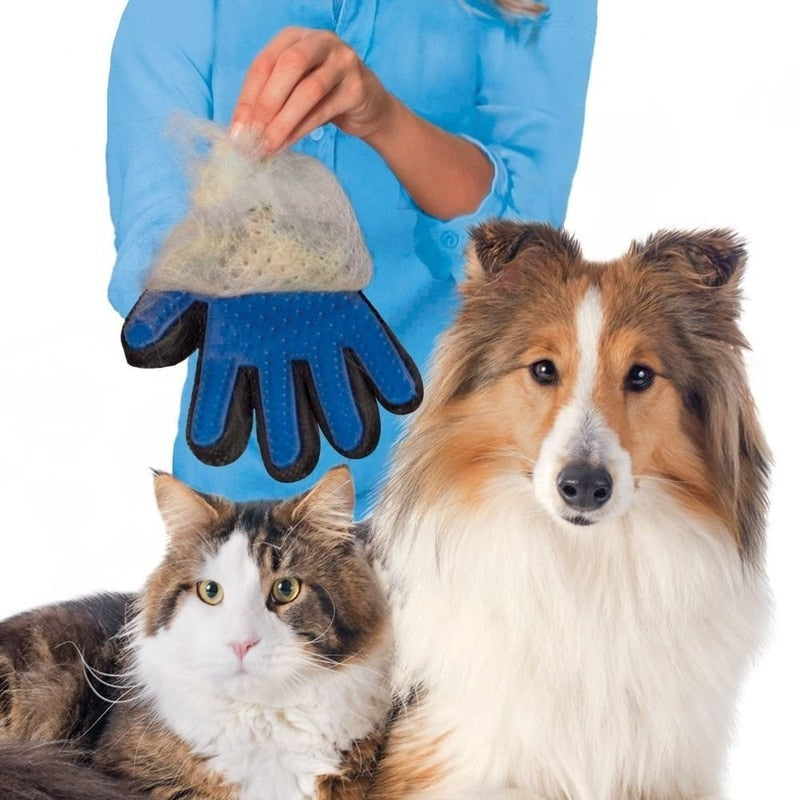 Cat grooming gloves