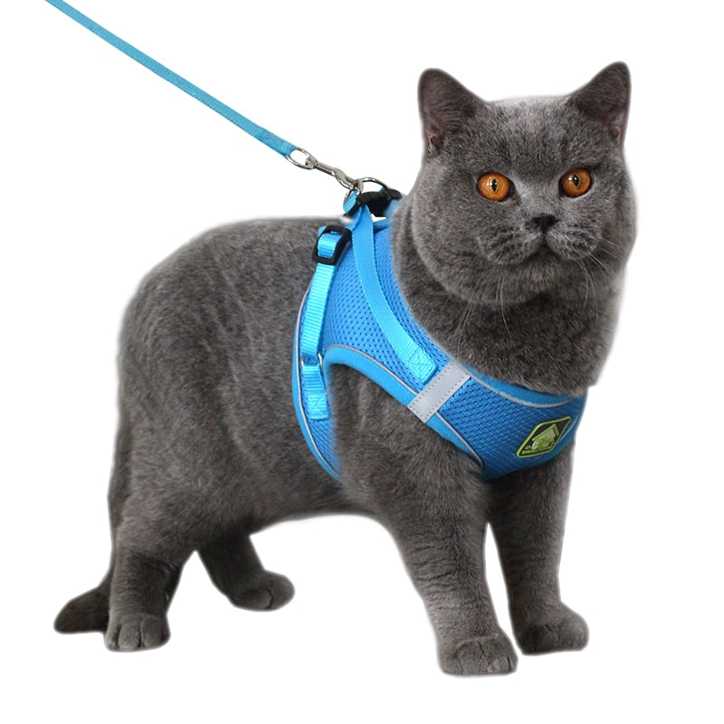 Reflective Cat Harness