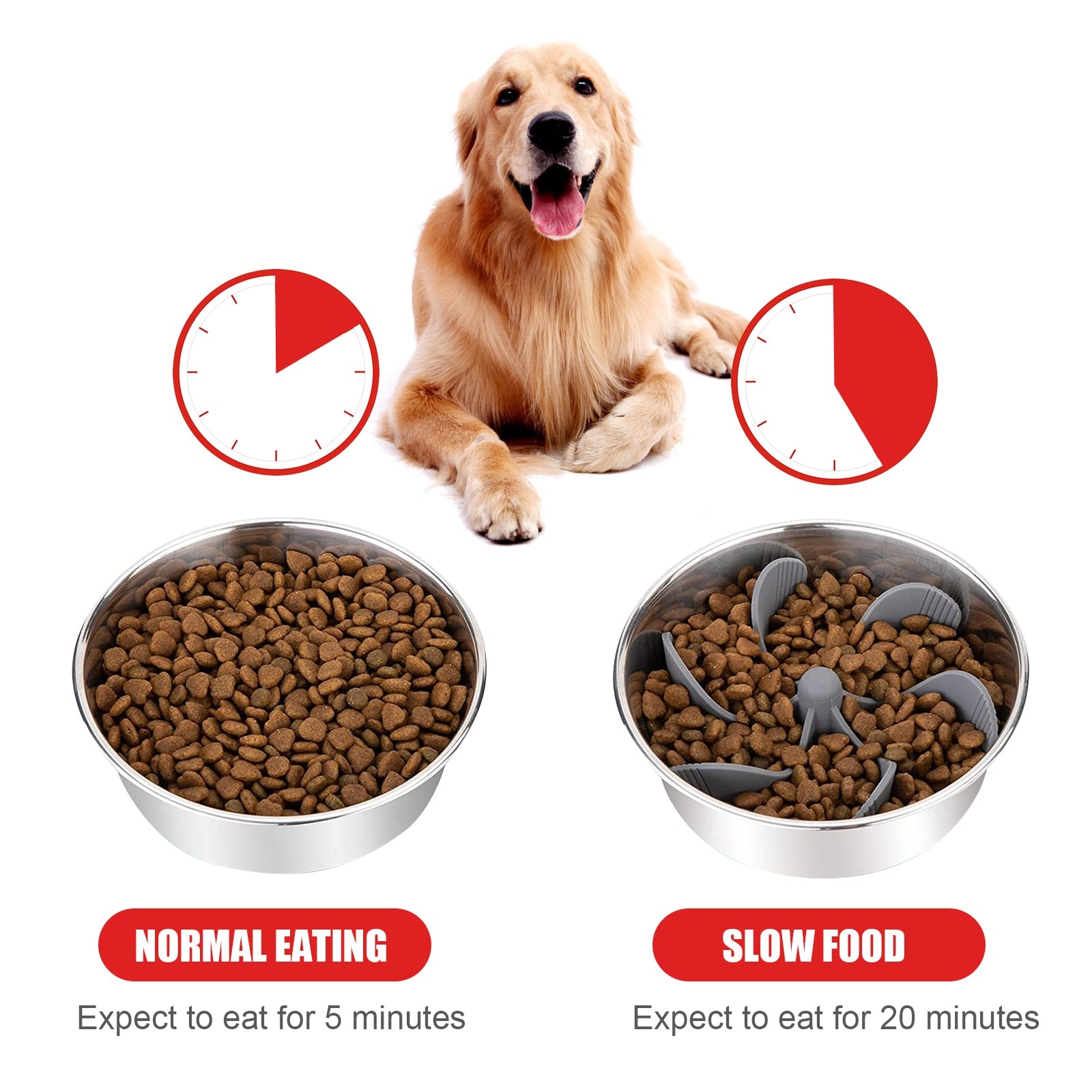 Dog Spiral Slow Feeder Dish Insert