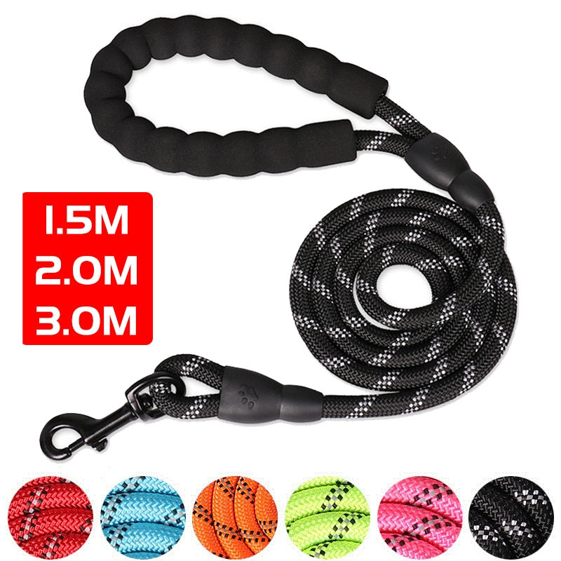 Dog Long Reflective Leash