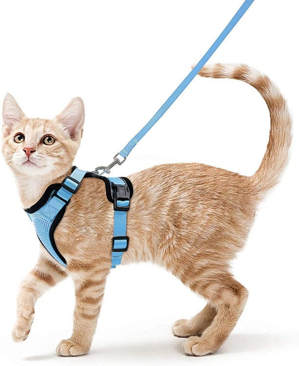 Reflective Cat Harness