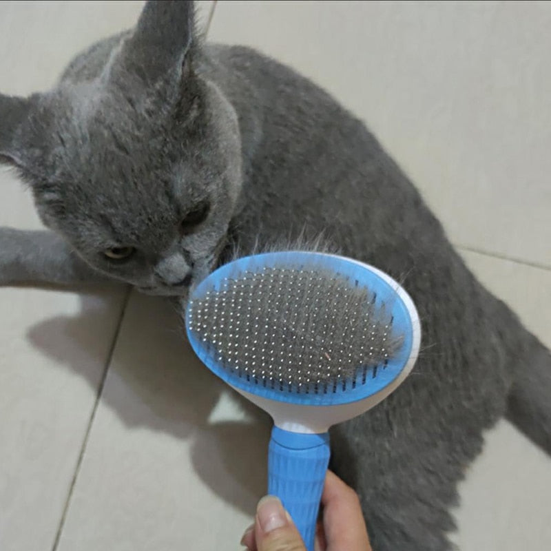 Cat Hair Remover Brush