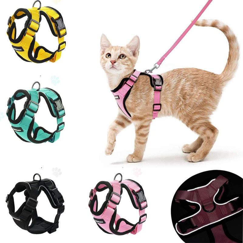 Soft Mesh Small Cat Harness