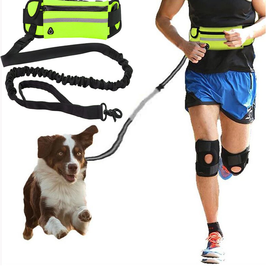 Hands-Free Running Dog Leash