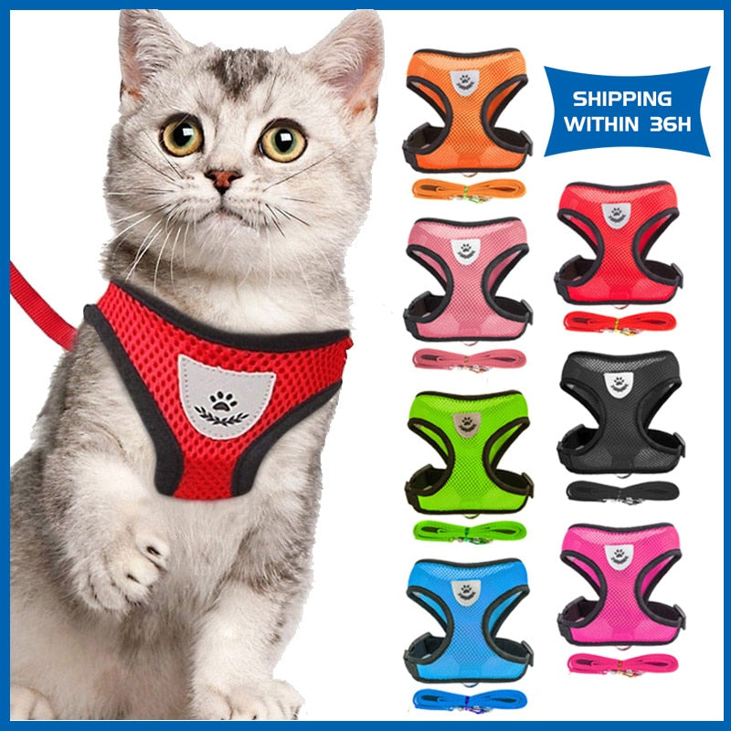 Cat Adjustable Reflective Harness