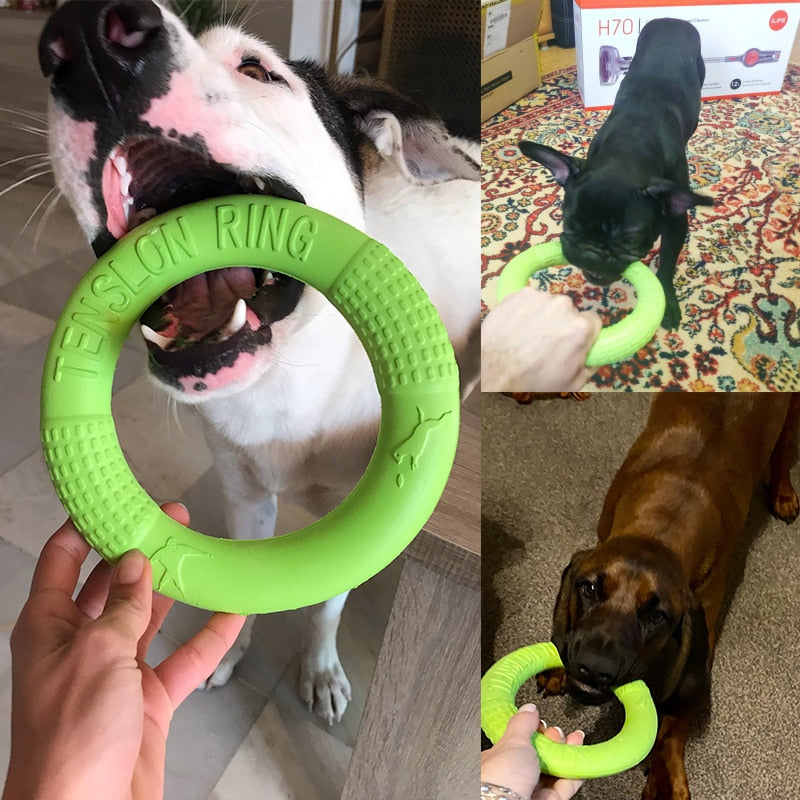 Dogs Training Flying Ring Toy